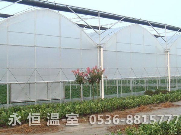 连栋薄膜温室25.jpg