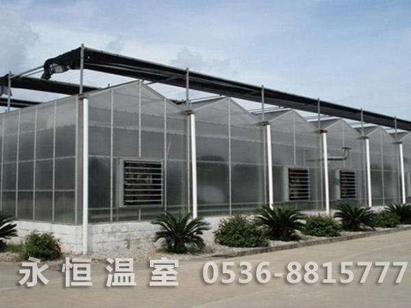 阳光板温室12.jpg