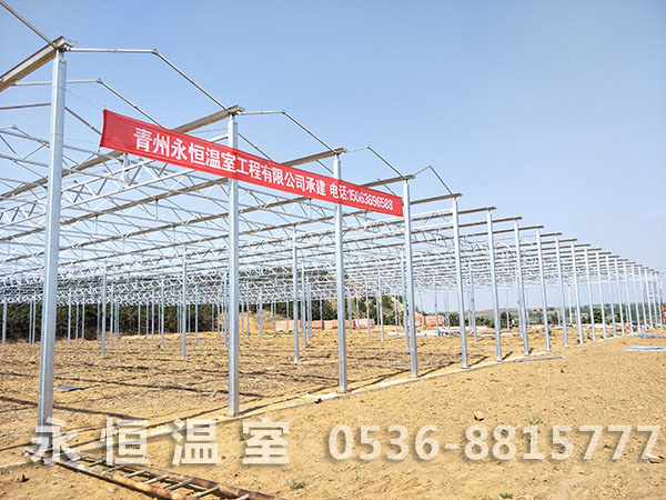 日照市五莲县大珠子村玻璃温室施工现场4.jpg