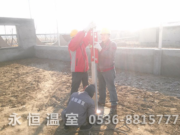 立柱安装中.jpg