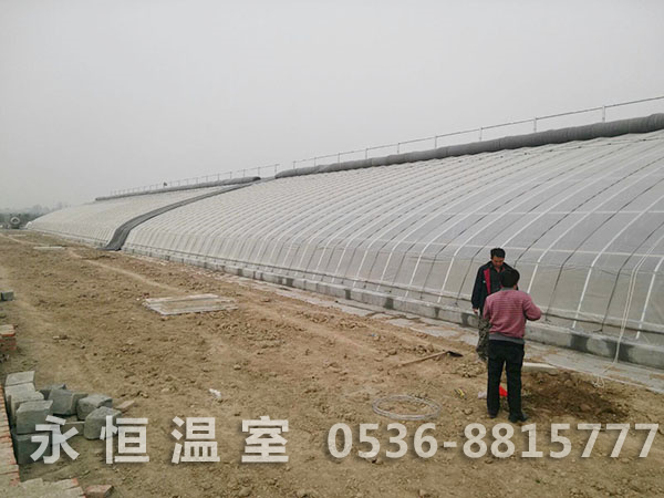 淄博润邦生态农业百亩日光温室大棚竣工2.jpg