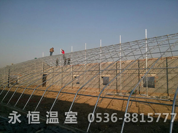 淄博润邦生态农业百亩日光温室大棚施工现场2.jpg