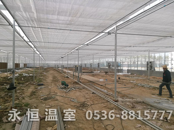 招远市新盛交通连栋薄膜温室施工现场1.jpg