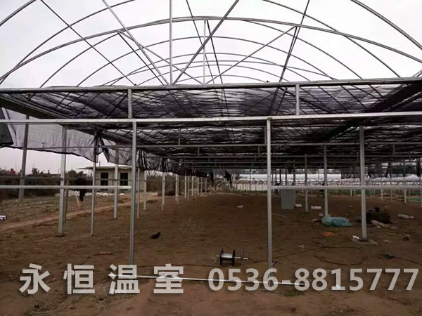 烟台市福山区崇义连栋薄膜温室施工现场1.jpg