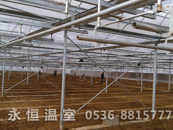 莱州大鹏湾连栋薄膜温室施工现场1.jpg