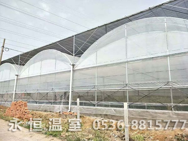 胶州市九龙山庄连栋薄膜温室竣工