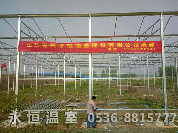 连云港市海州区锦屏镇玻璃温室施工现场3.jpg
