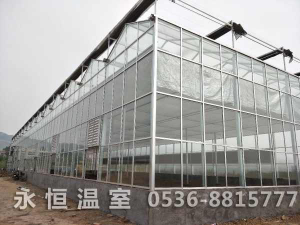 玻璃温室 3.jpg