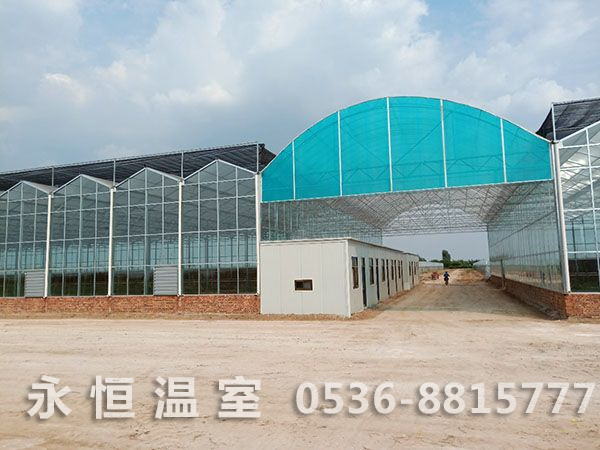 河北省邢台市巨鹿县何寨村玻璃温室竣工
